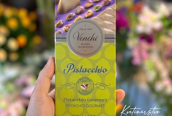Venchi Pistacchio | Biela čokoláda so solenými pistáciami, 100 g